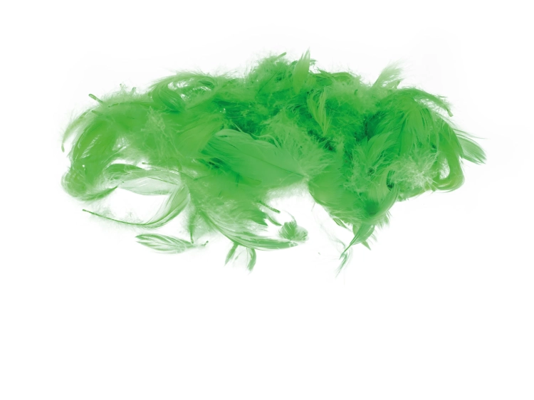 piorka-dekoracyjne-zielone-7g-wielkanoc-diy-brewis.jpg