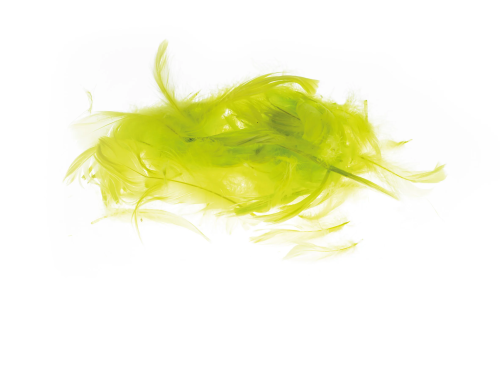 obraz_2026-01-13_205948057.png