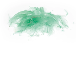 Piórka Dekoracyjne Seledynowe / Miętowe (7g)